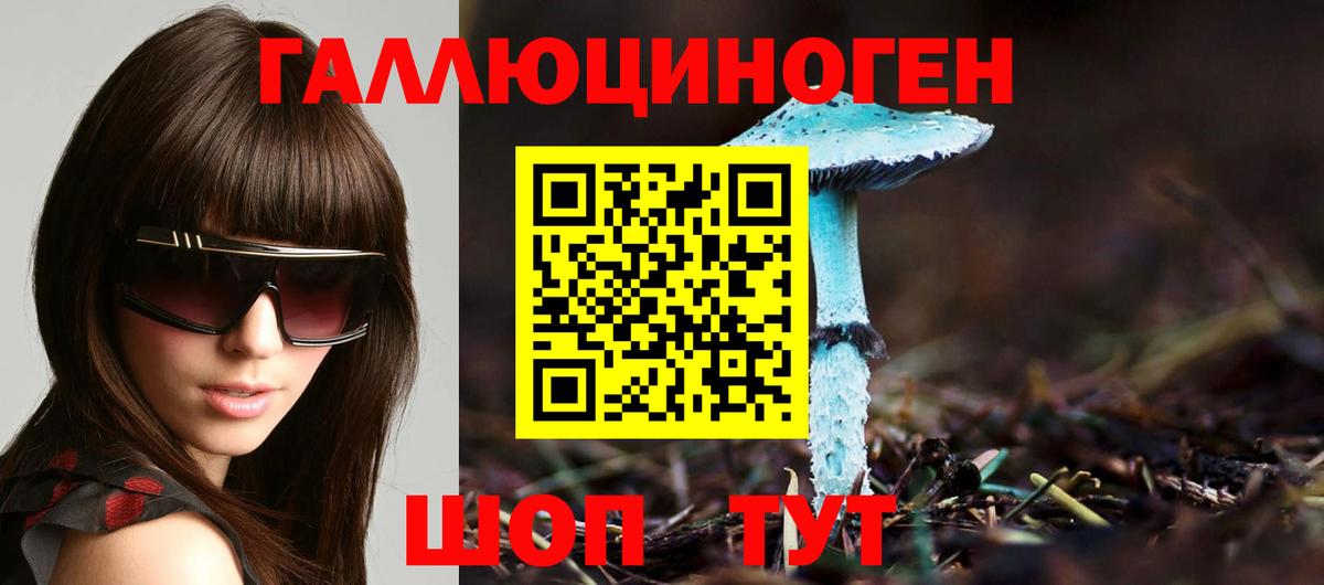 Псилоцибиновые грибы Cubensis  Вход с VPN  Горно-Алтайск 